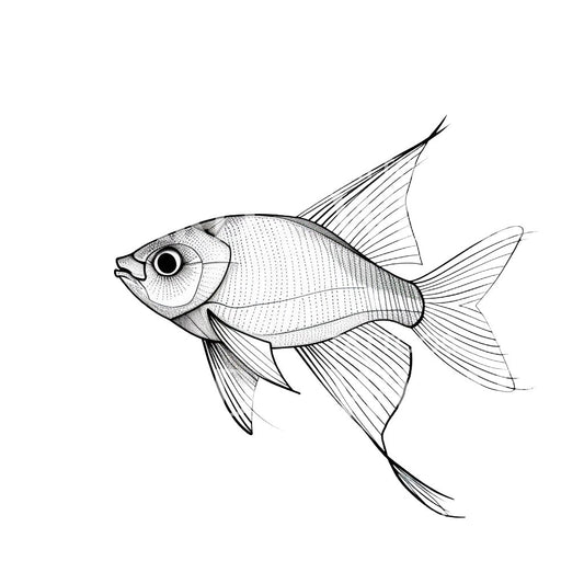 Dotwork Black and Grey Fish Tattoo Design