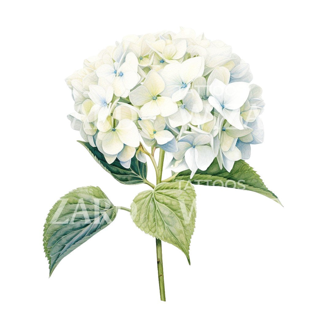 Botanical Hortensia Flower Tattoo Design