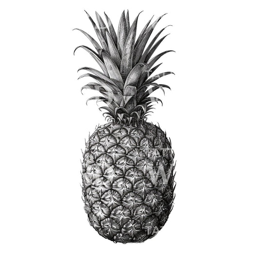 Vintage Pineapple Ink Tattoo Idea