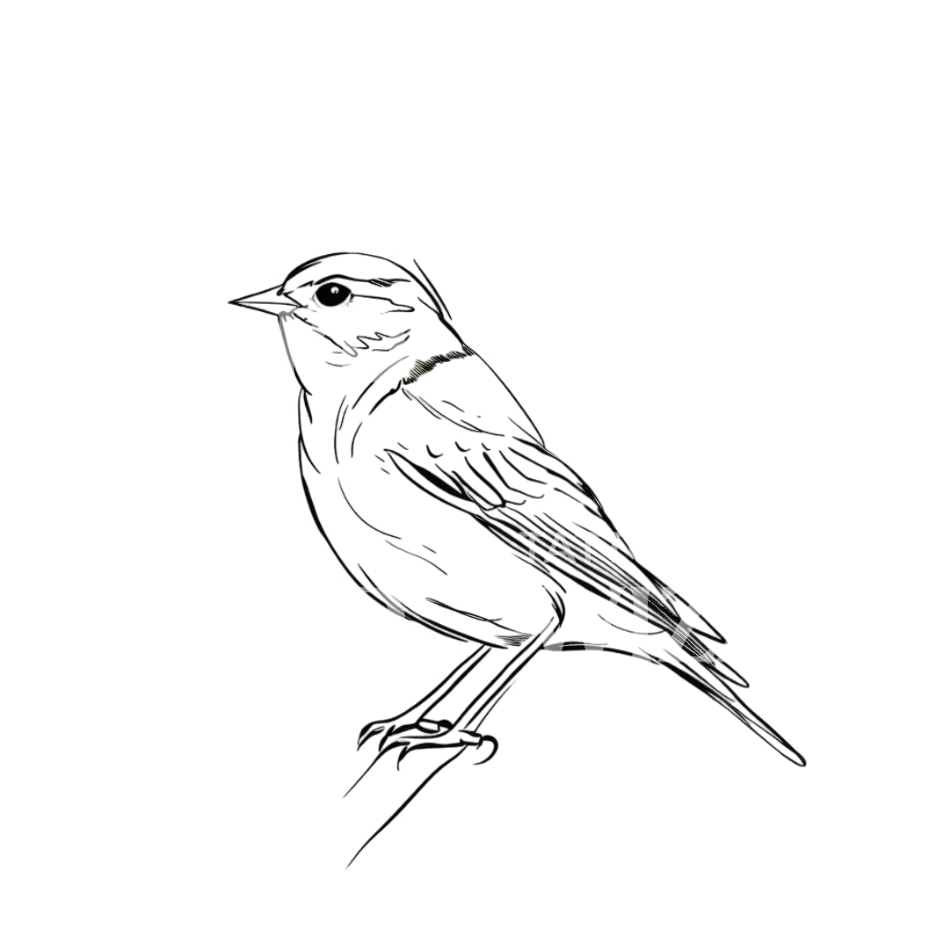 Little Spring Bird Minimalist Tattoo Design