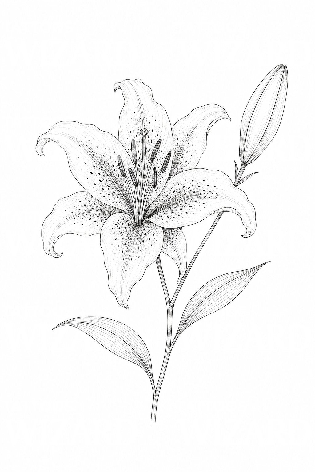 stargazer lily tattoo black and white Fine Line Stargazer Lily Tattoo Idea