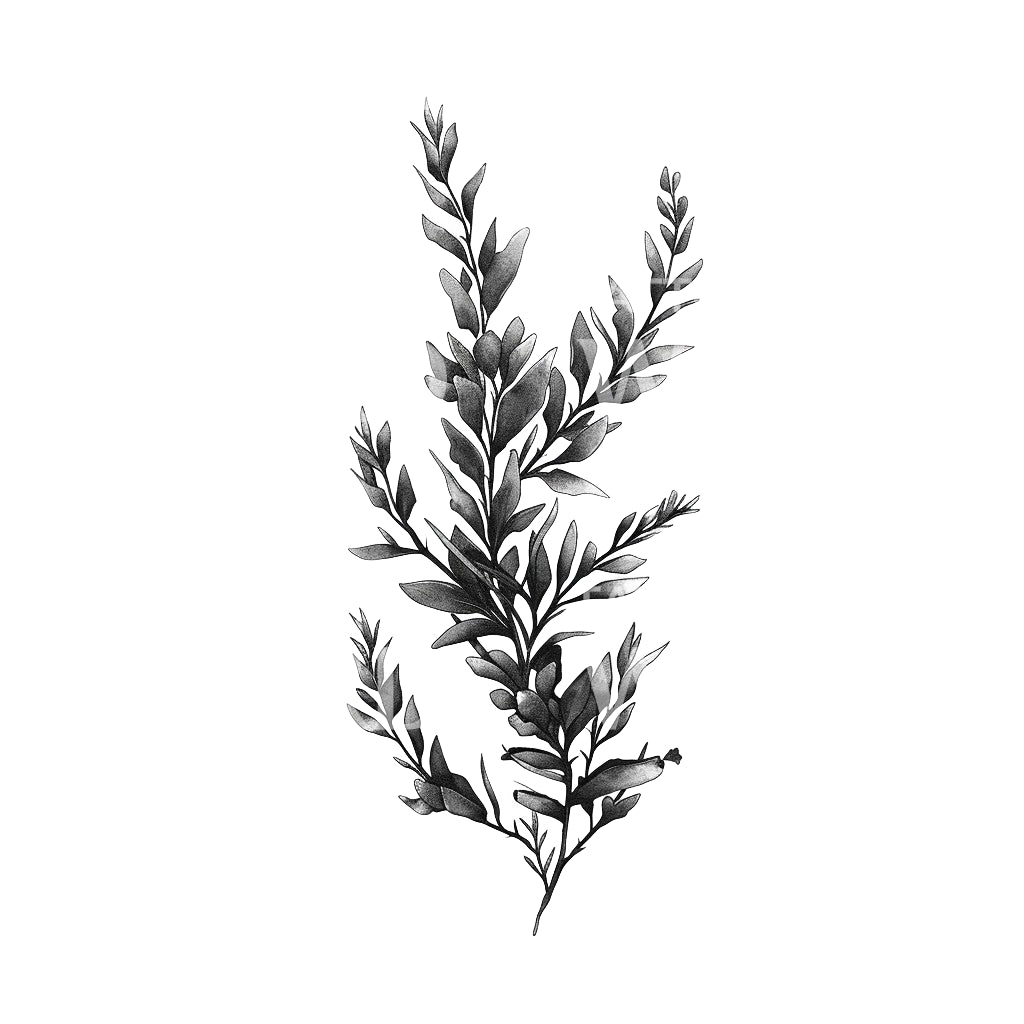 Flowy Kelp Algae Tattoo Design