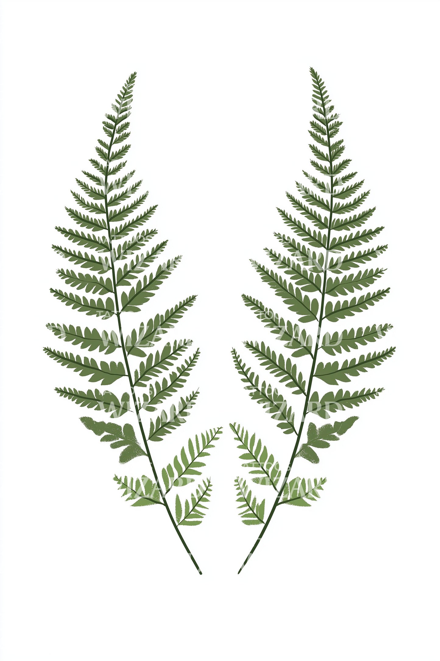 Green Fern Pair Tattoo Illustration