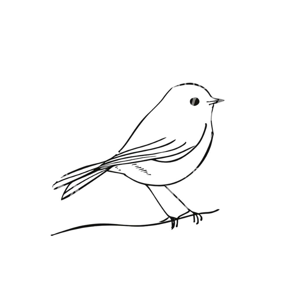 Silly and Cute Bird Minimalist Tattoo Design