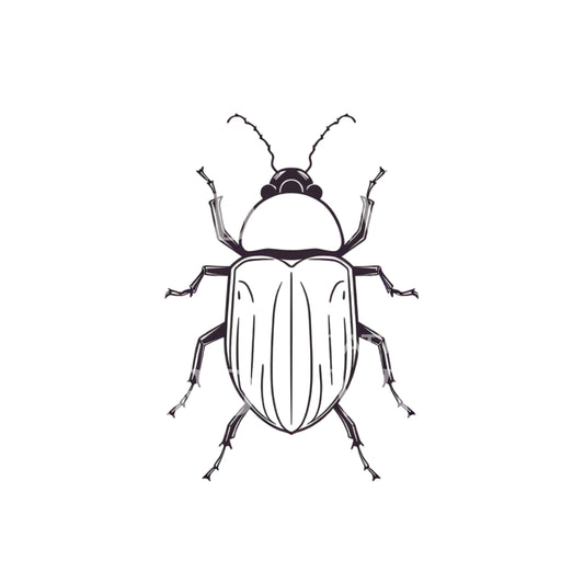 Minimalist Beetle Tattoo Design