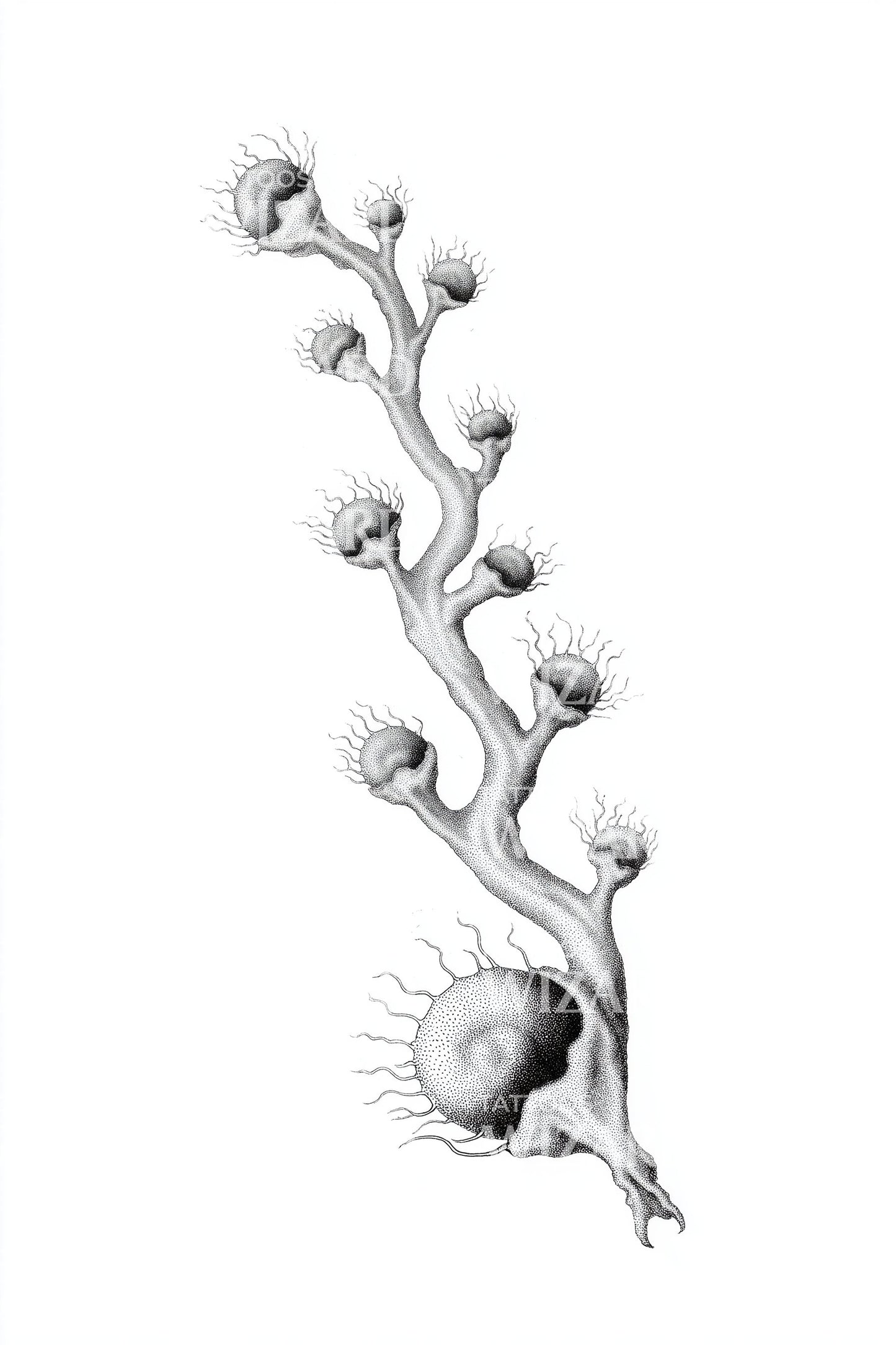 Minimal Branch Coral Tattoo Design