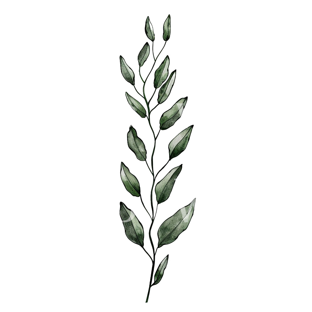 Minimalist Algae Plant Tattoo Design