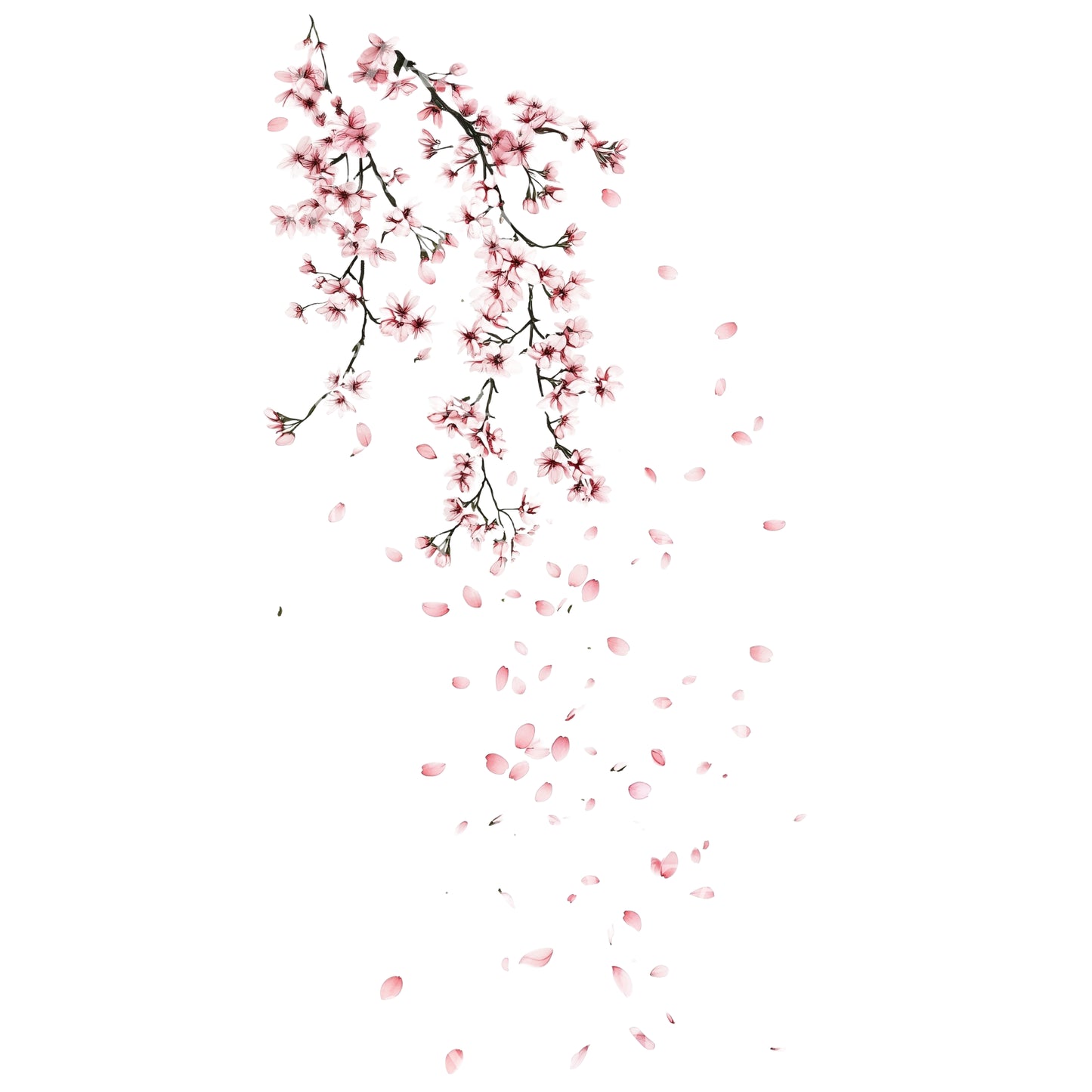 Idea de Tatuaje de Pétalos de Sakura Cayendo con el Paso del Tiempo