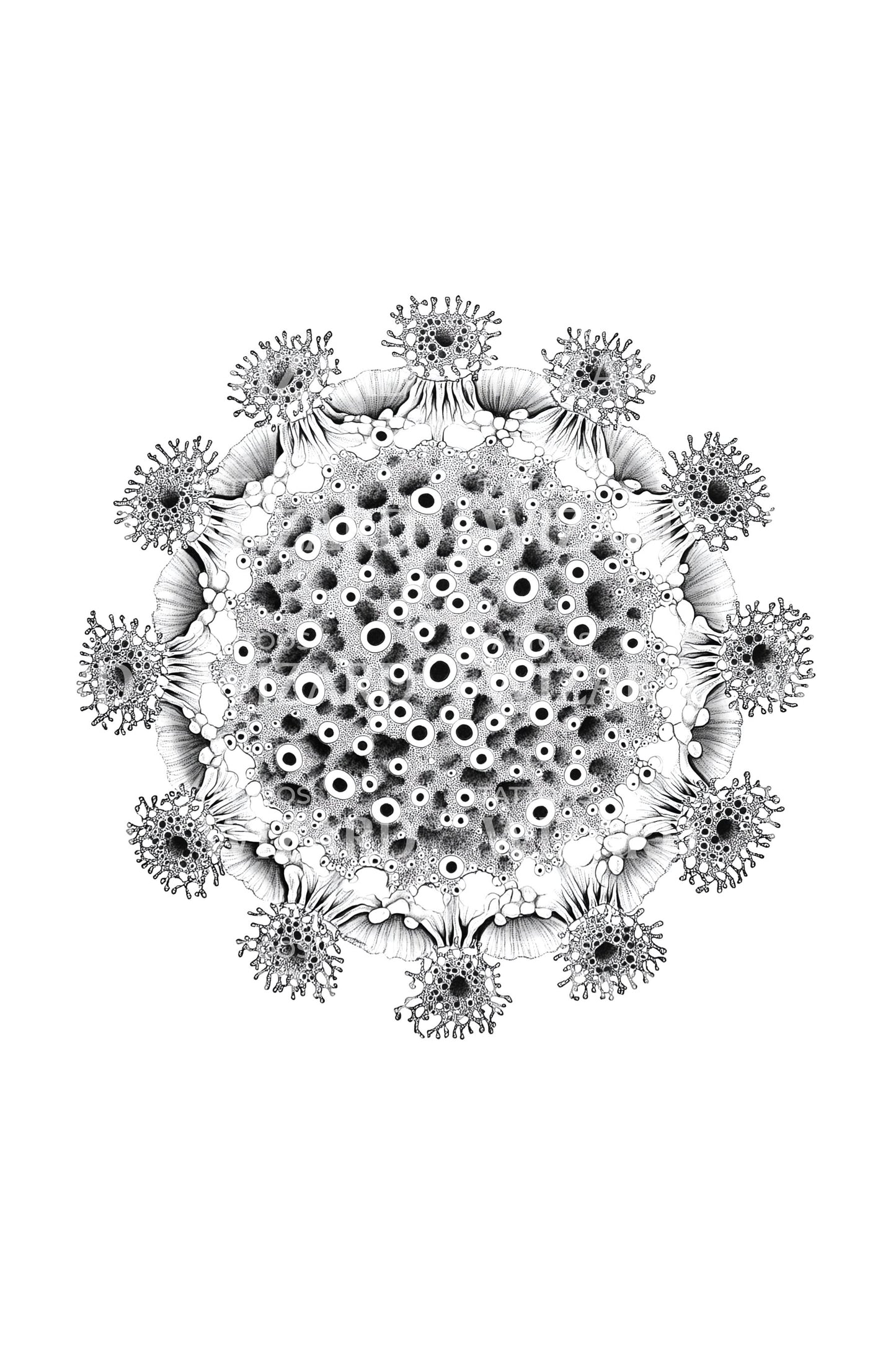 Radiolarian Circle Tattoo Design