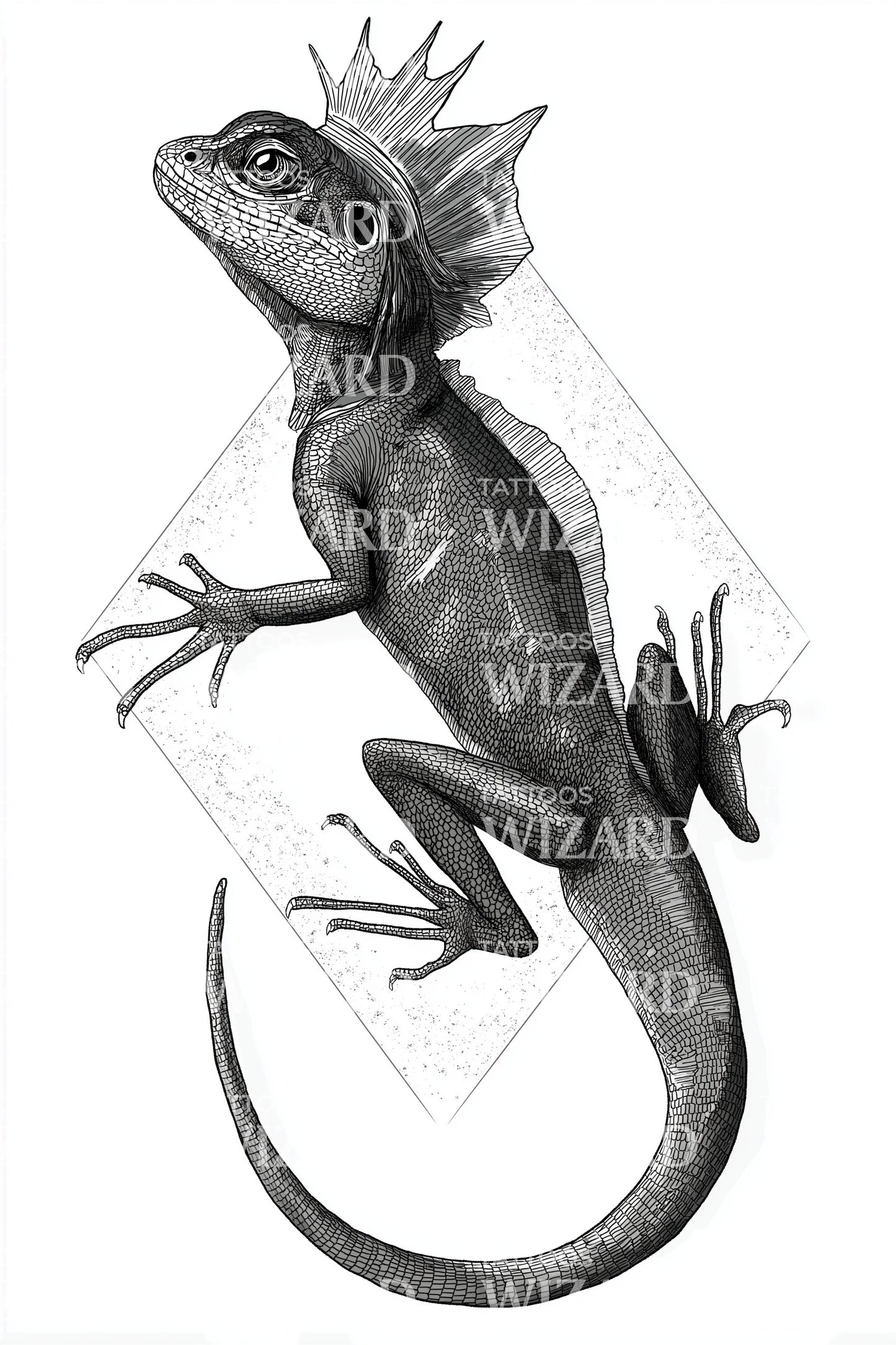 Design Tatuaggio Re Lucertola Regale