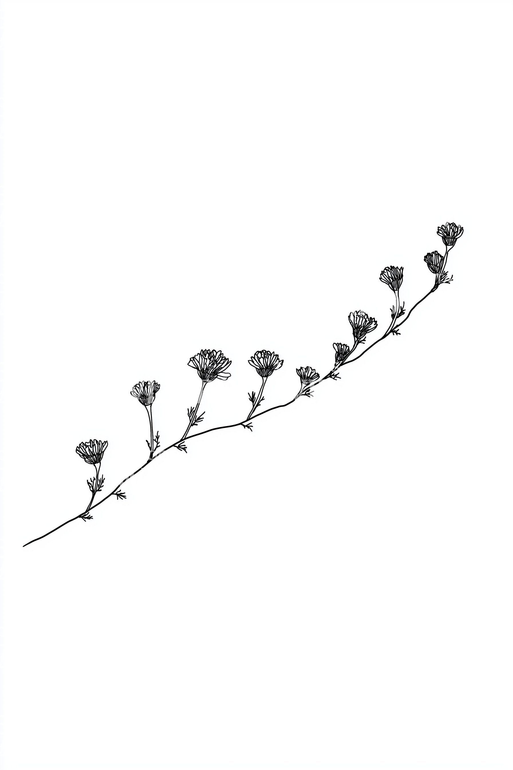 Beautiful Black & White Flower Vine Tattoo