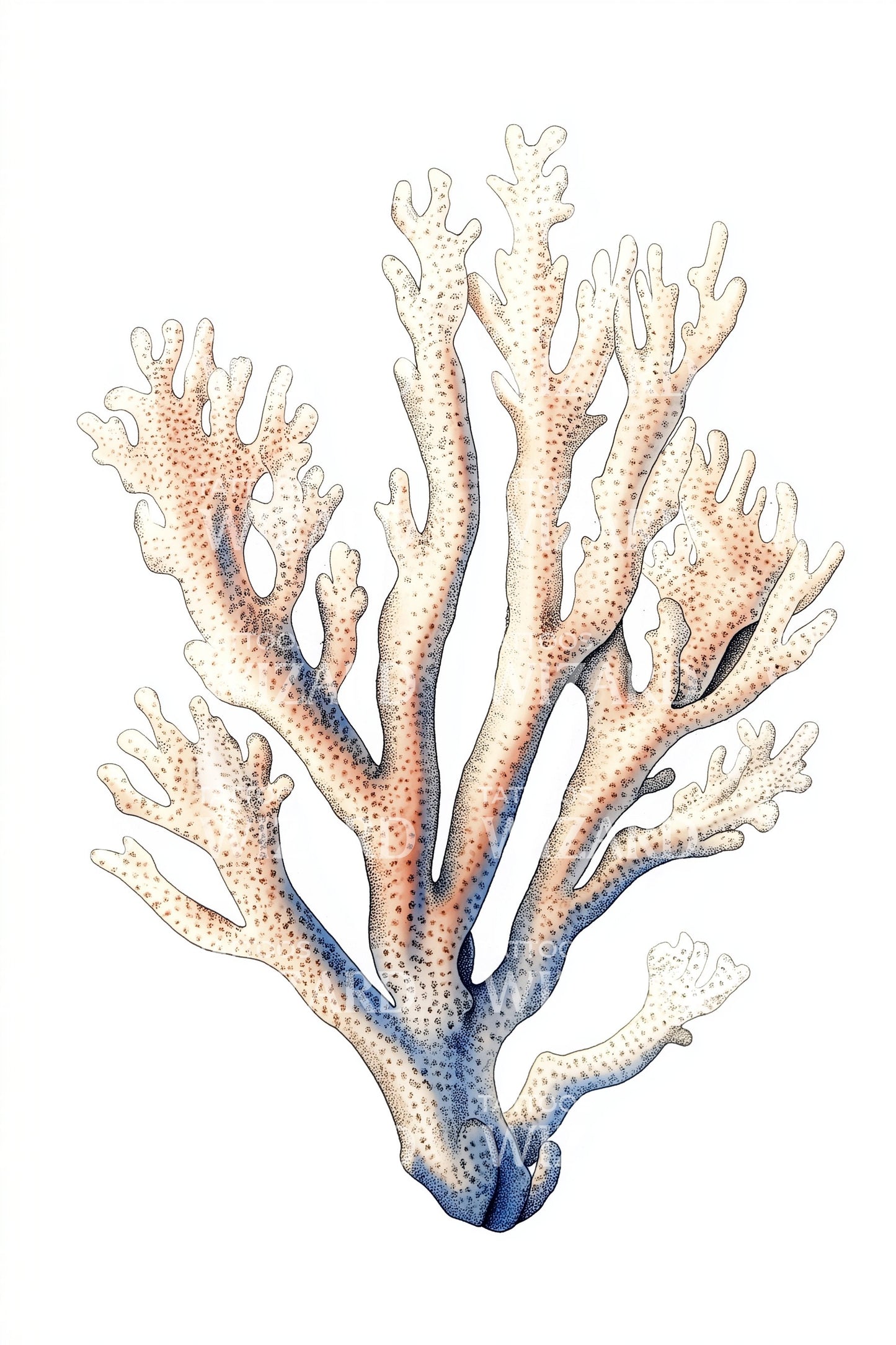 Watercolor Coral Branch Tattoo Illustration