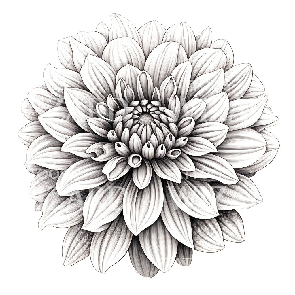 Black and Grey Chrysanthemum Flower Tattoo Design