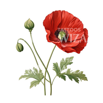 Botanical Poppy Flower Tattoo Design