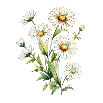 Watercolor Daisy Flowers Tattoo Design