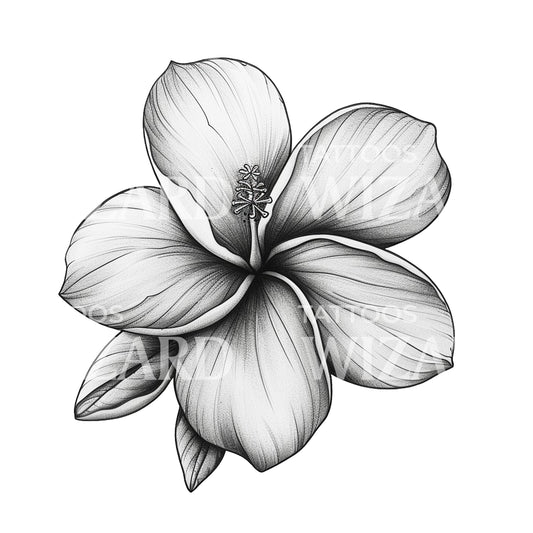Black and Grey Plumeria Flower Tattoo Design