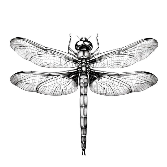 Realistic Black and White Dragonfly Tattoo Design