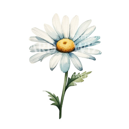 Watercolor Daisy Flowers Tattoo Design