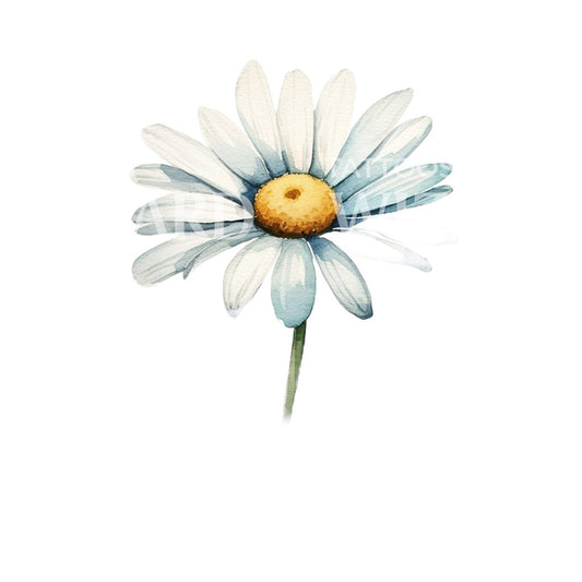 Conception de tatouage de fleurs de marguerite aquarelle