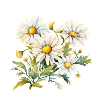 Watercolor Daisy Flowers Tattoo Design