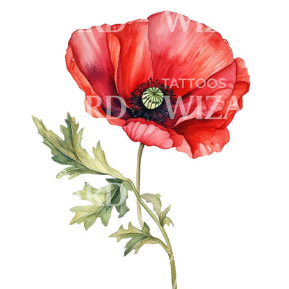Botanical Poppy Flower Tattoo Design