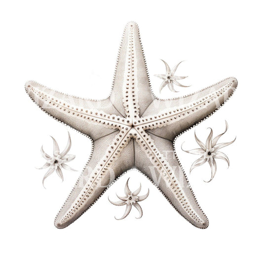 Conception de tatouage d'étoile de mer mignonne