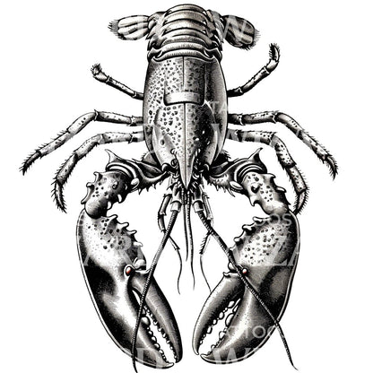 Beautiful Lobster Sketch Tattoo Idea