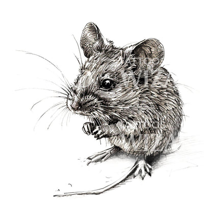 Cute Chinchilla Mouse Tattoo Idea