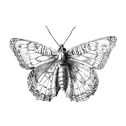 Delicate Butterfly Ink Tattoo Idea