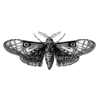 Delicate Moth Ink Tattoo Idea