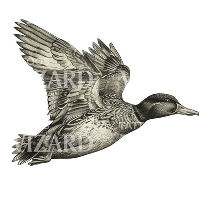Flying Duck Vintage Tattoo Idea