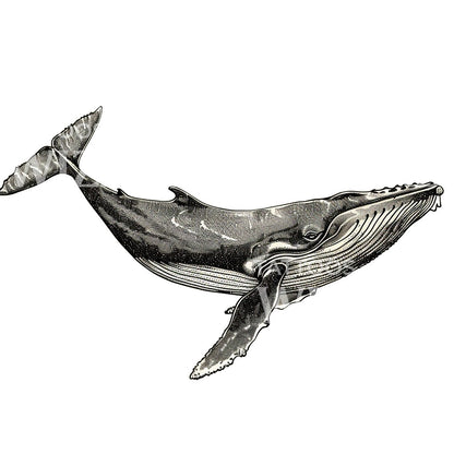 Vintage Blue Whale Illustration Tattoo Idea