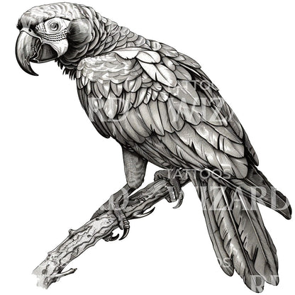 Vintage Parrot Tattoo Idea