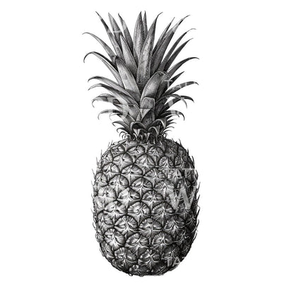 Vintage Pineapple Ink Tattoo Idea