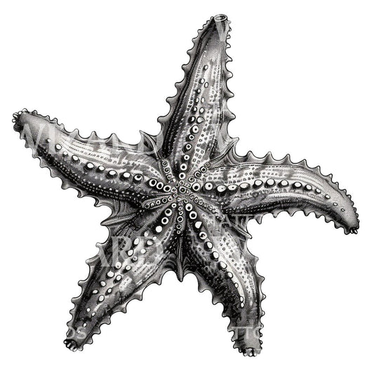 Vintage Starfish Cross-hatched Tattoo Idea