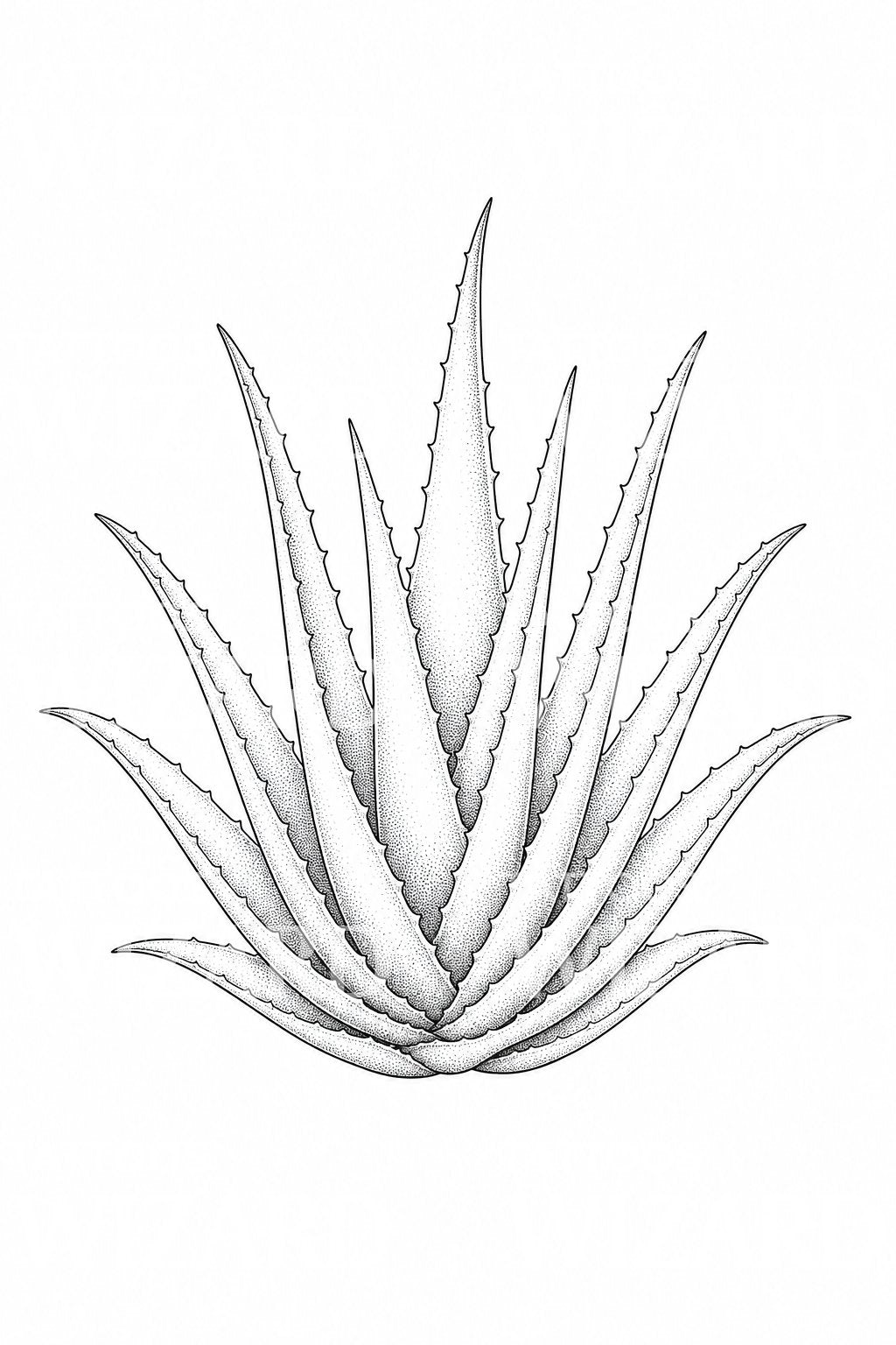Návrh tetování rostliny aloe vera