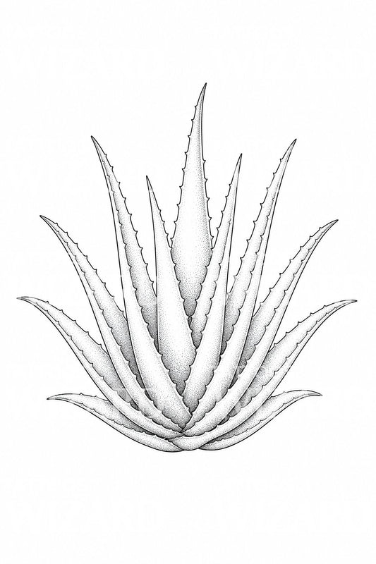 Diseño de tatuaje de planta de aloe vera
