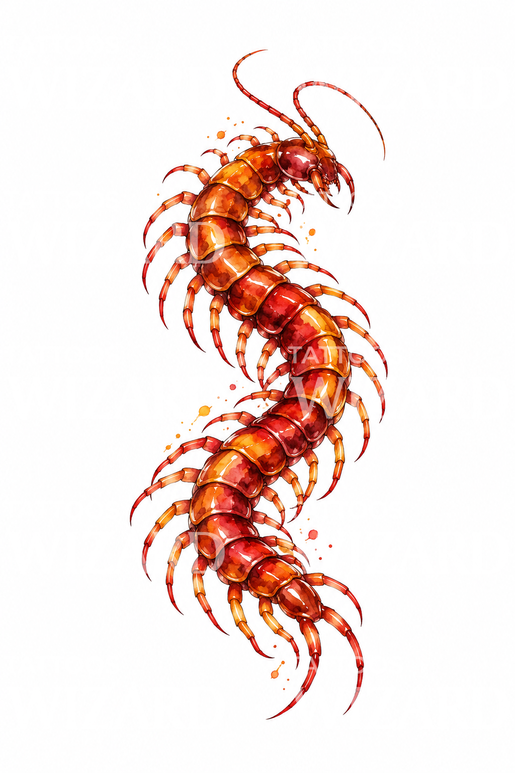 Aquarell-Tattoo-Design eines bernsteinroten Tausendfüßlers