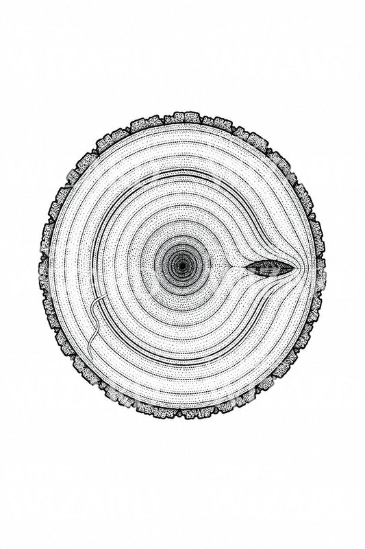 Ancient Tree Growth Rings Tattoo Design
