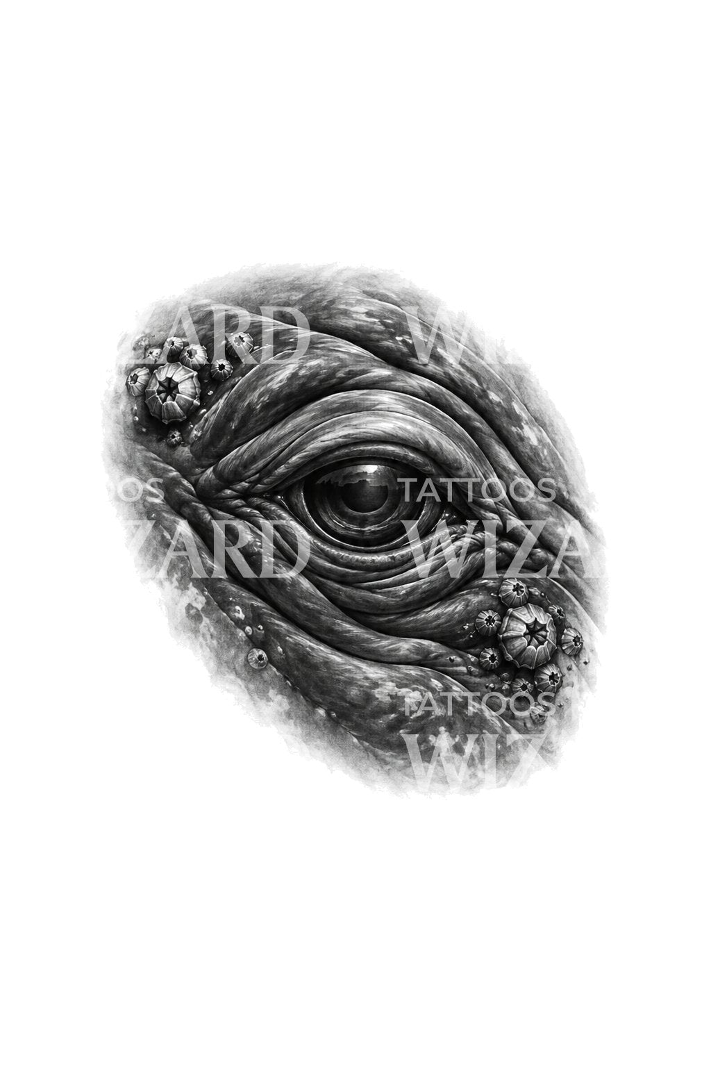 Ancient Whale Eye with Barnacles Tattoo Illustration