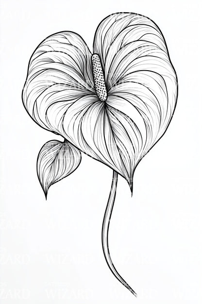 anthurium line drawing Anthurium Heart Leaf Tattoo Illustration – Tattoos Wizard Designs