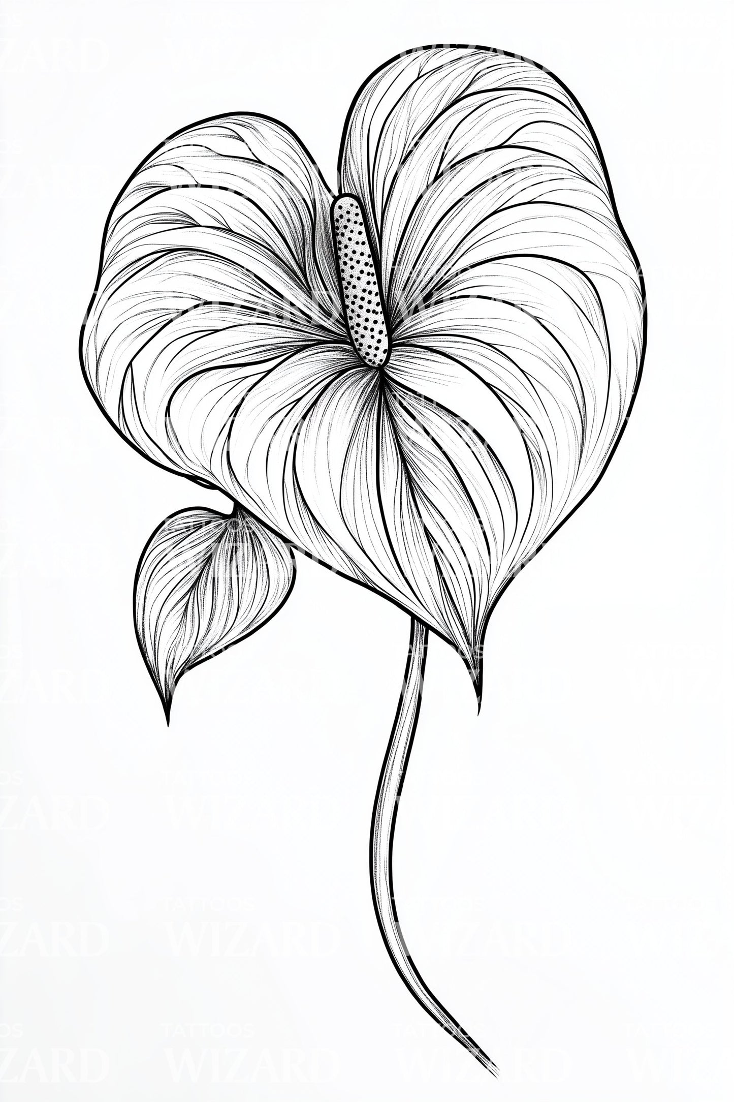 Anthurium Heart Leaf Tattoo Illustration