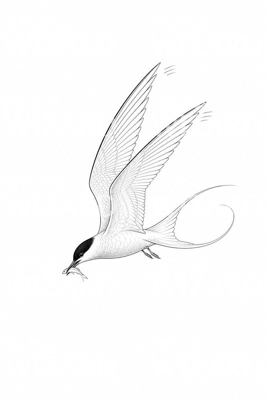 Tattoo-Idee mit fliegender Küstenseeschwalbe