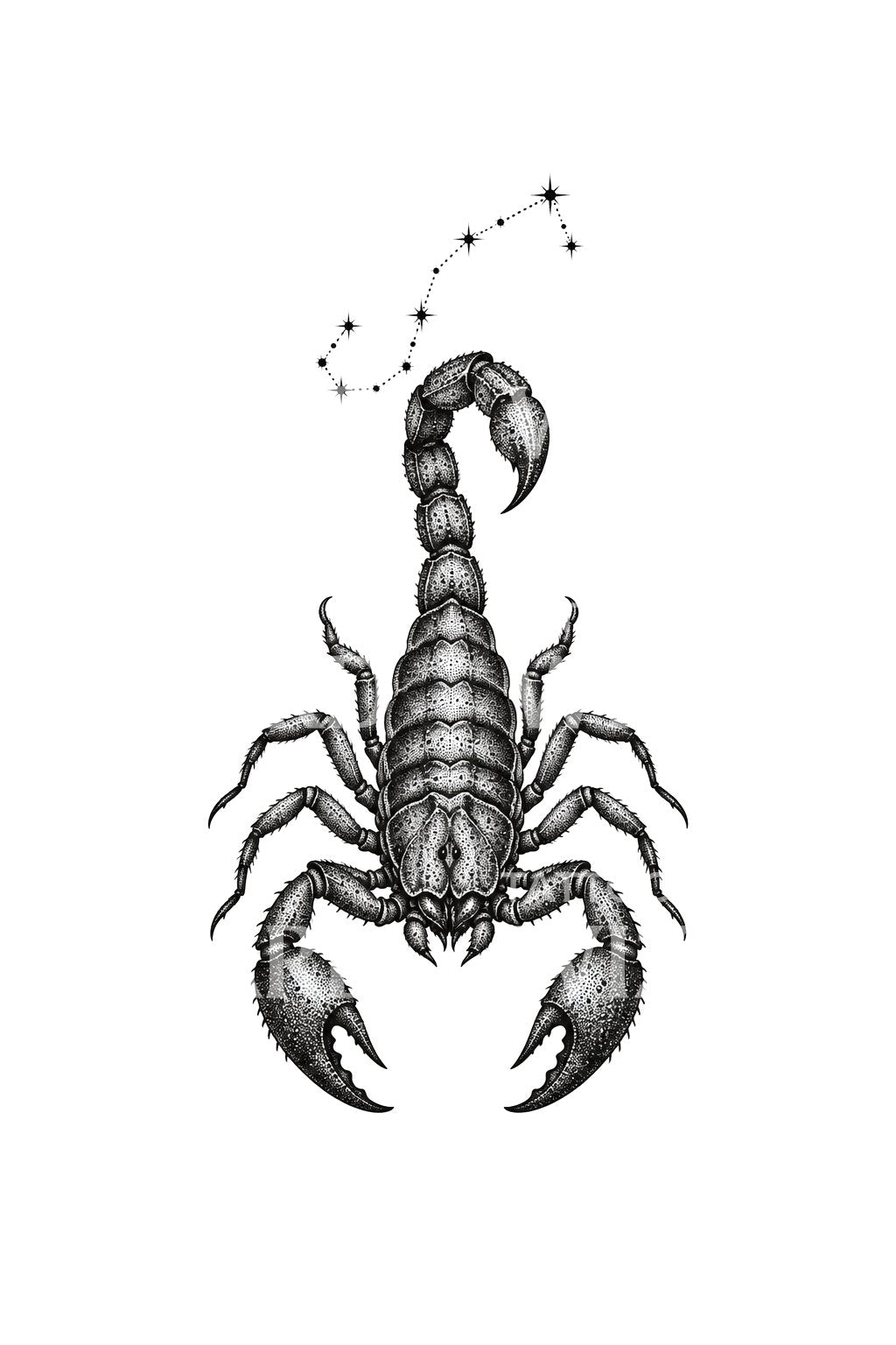 Diseño de tatuaje zodiacal de Escorpio con escorpión acorazado