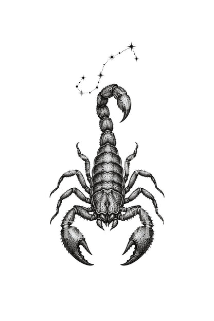 Diseño de tatuaje zodiacal de Escorpio con escorpión acorazado