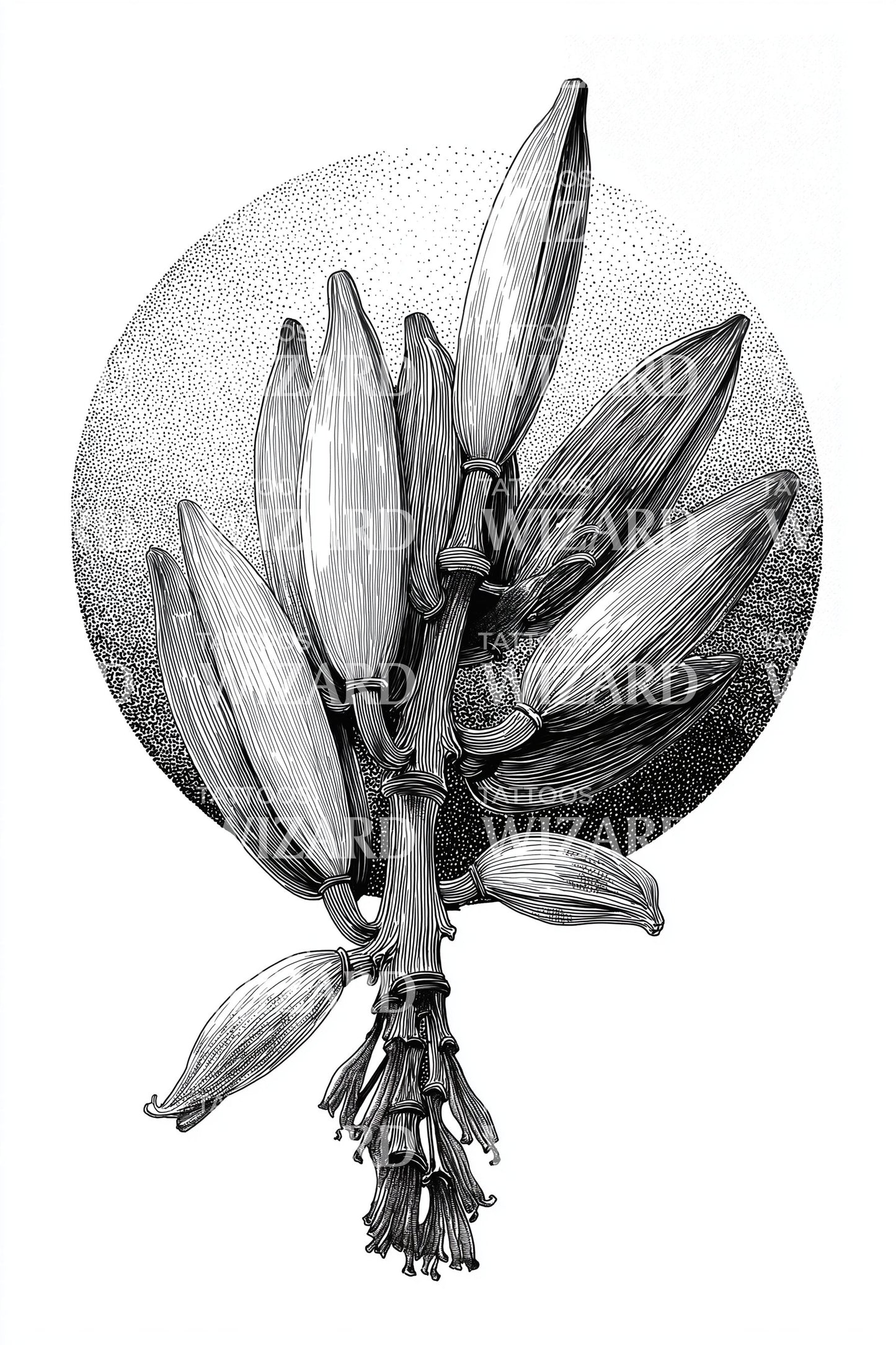 Banana Bud Circle Tattoo Design