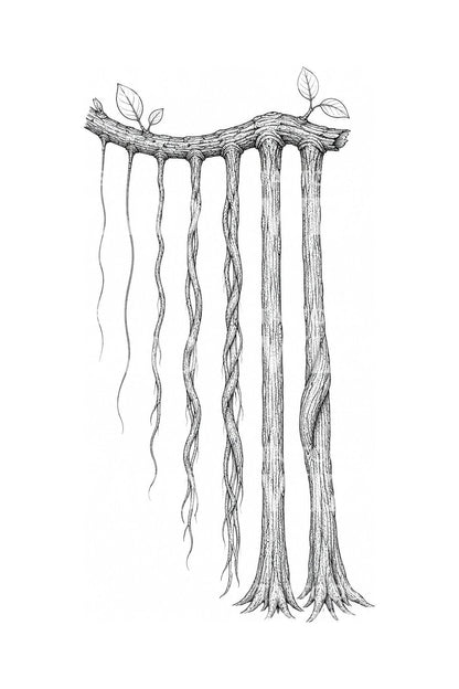 Banyan Aerial Prop Roots Tattoo Design
