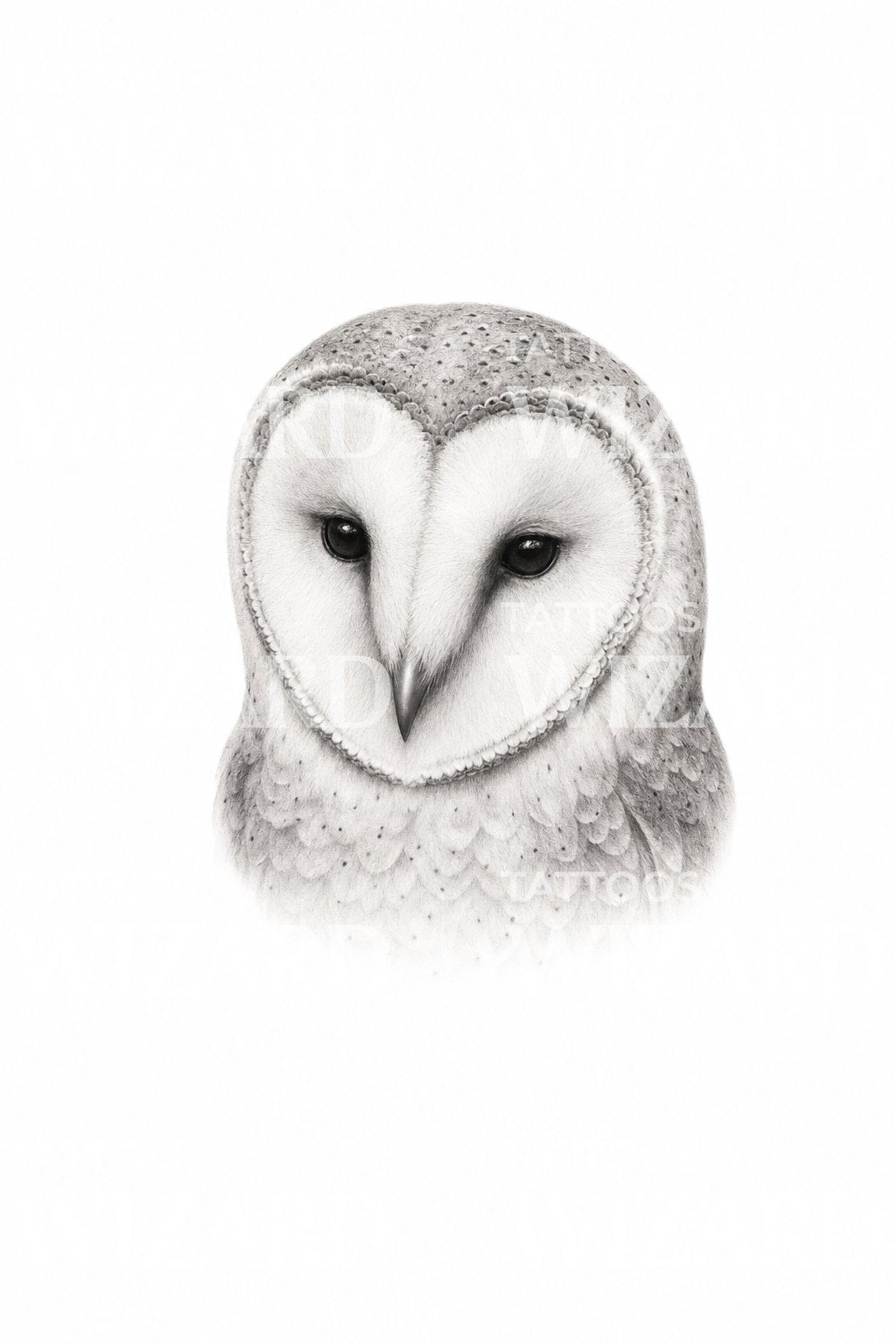 Barn Owl Face Micro Realism Tattoo Idea