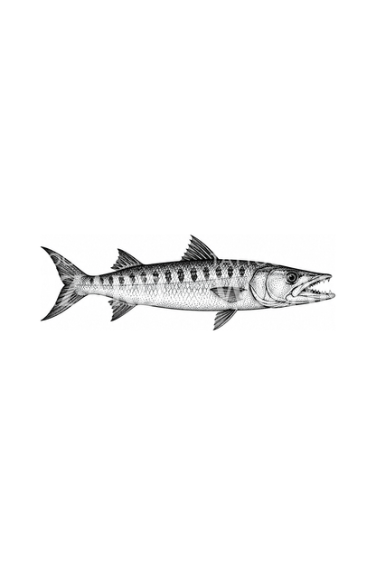 Dotwork barracuda dövme tasarımı