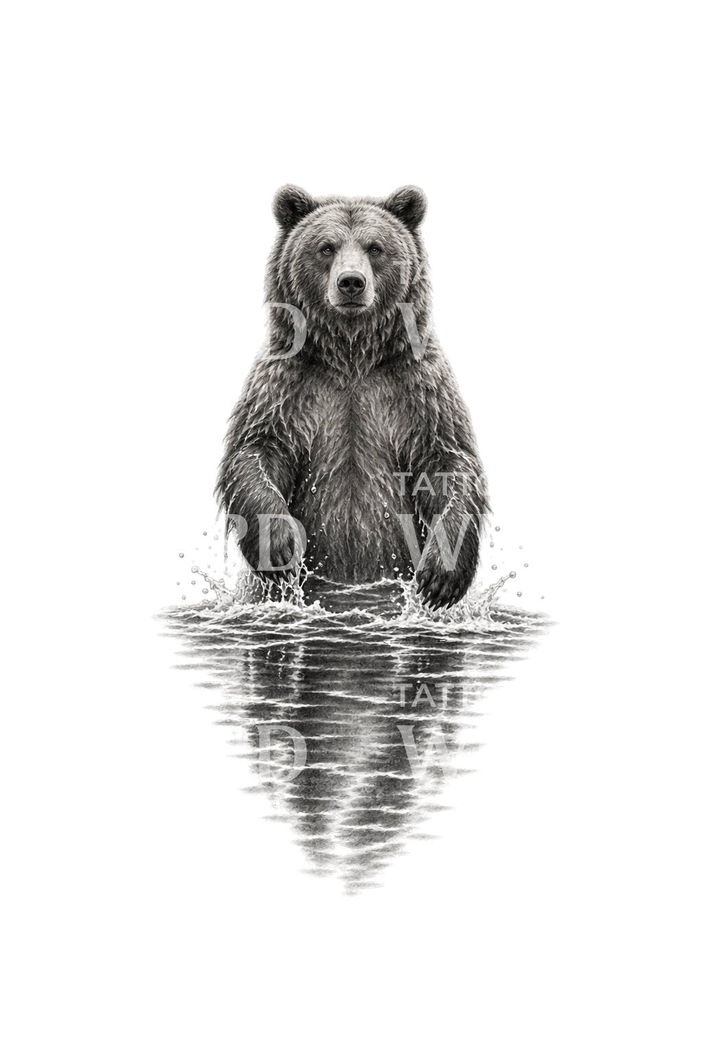 站在齐腰深河水中的熊纹身插画